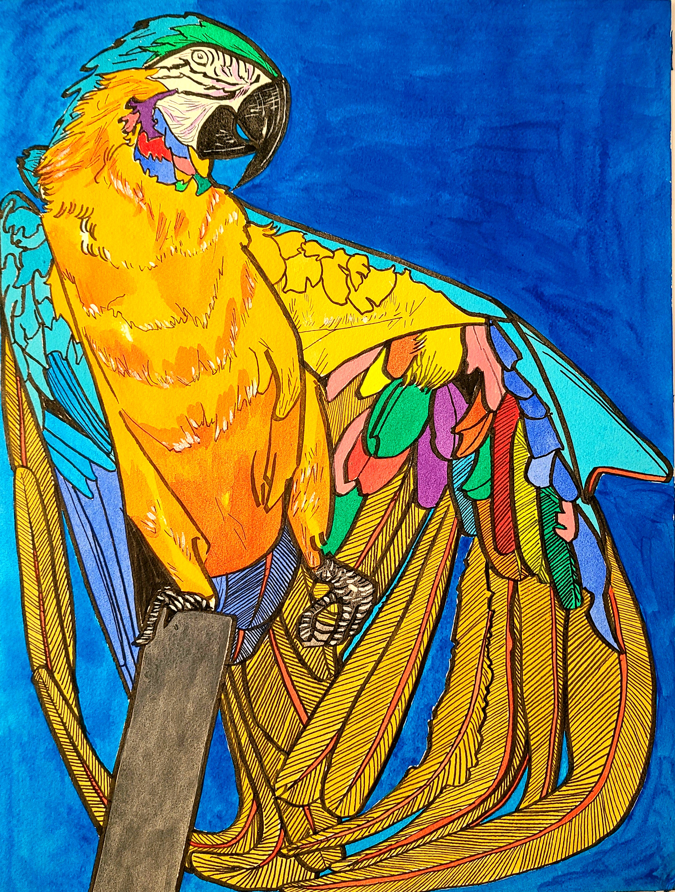 インコ　絵画 ARTELIER（アートリエ）