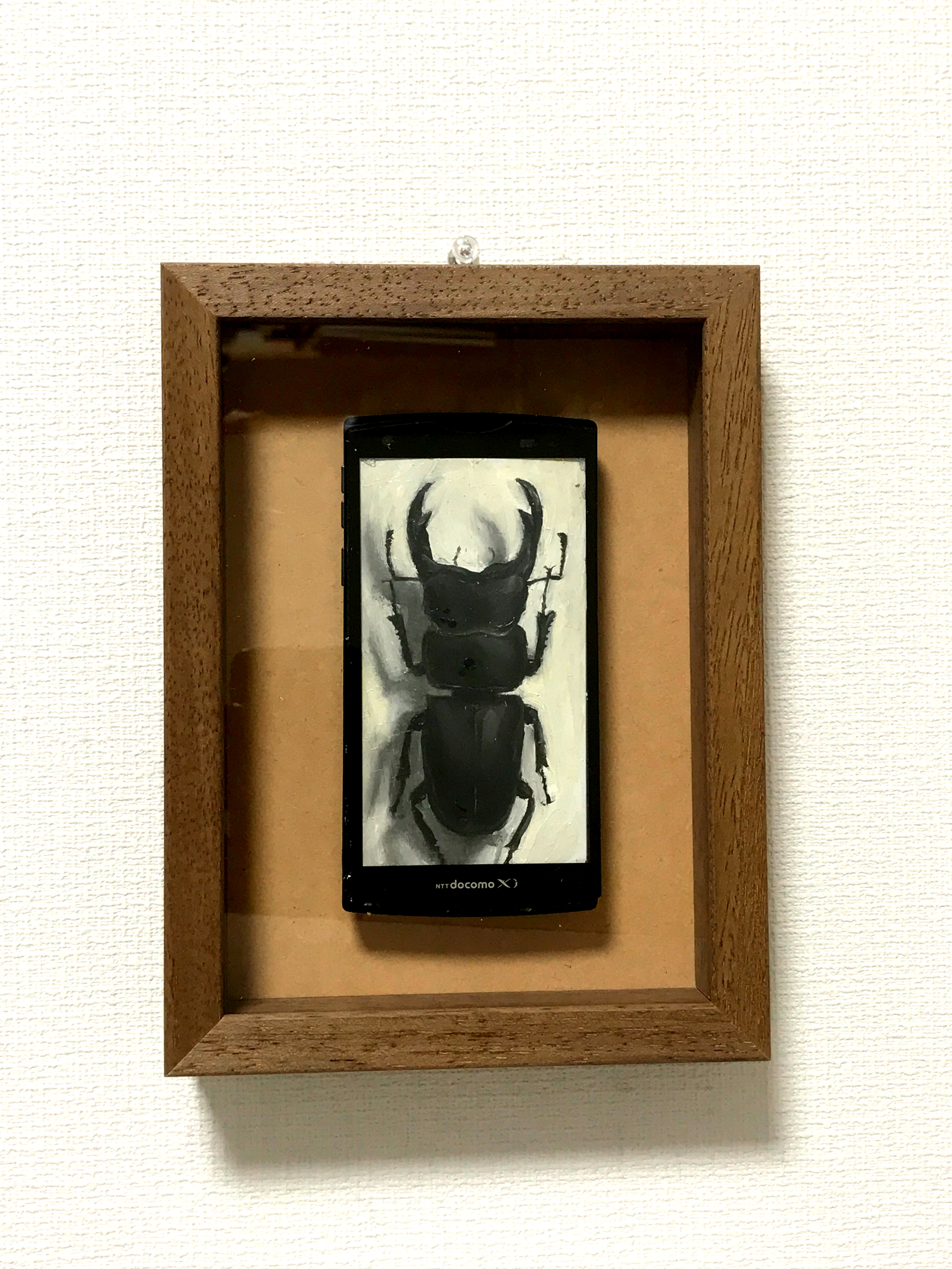 昆虫標本 #オオクワガタ by 小堺勝 - 絵画販売・購入・レンタル