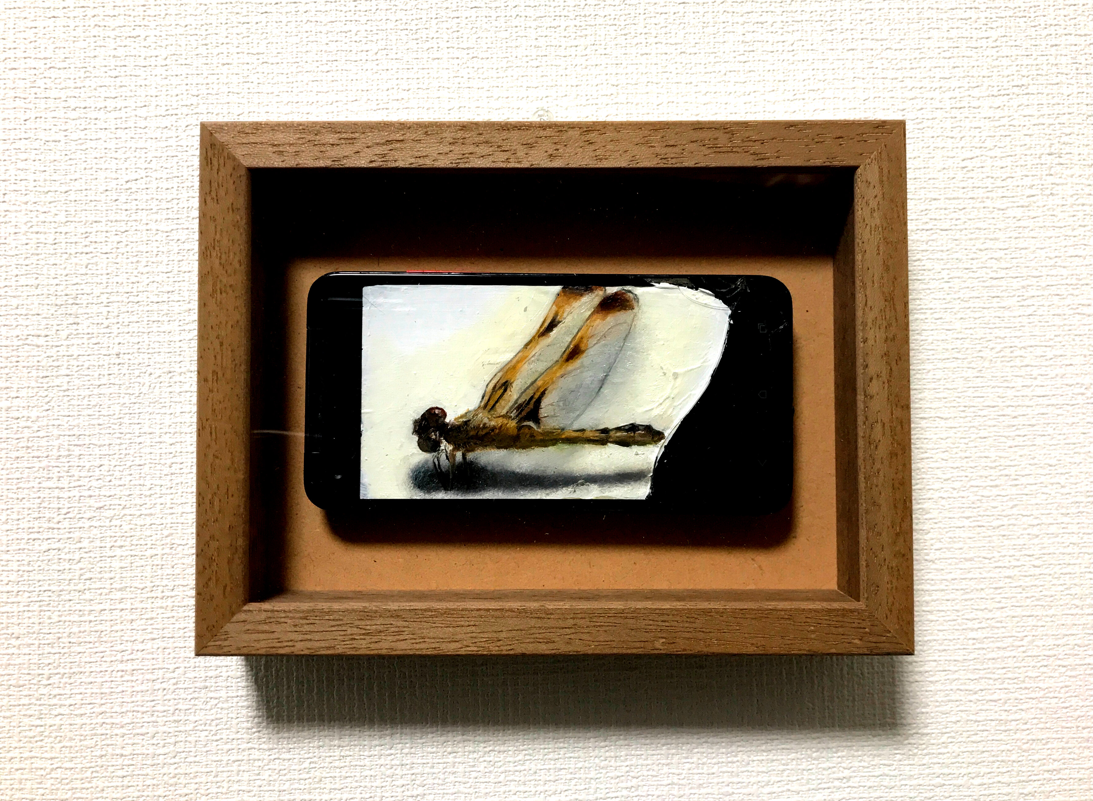 昆虫標本 ＃ベッコウトンボ by 小堺勝 - 絵画販売・購入・レンタル