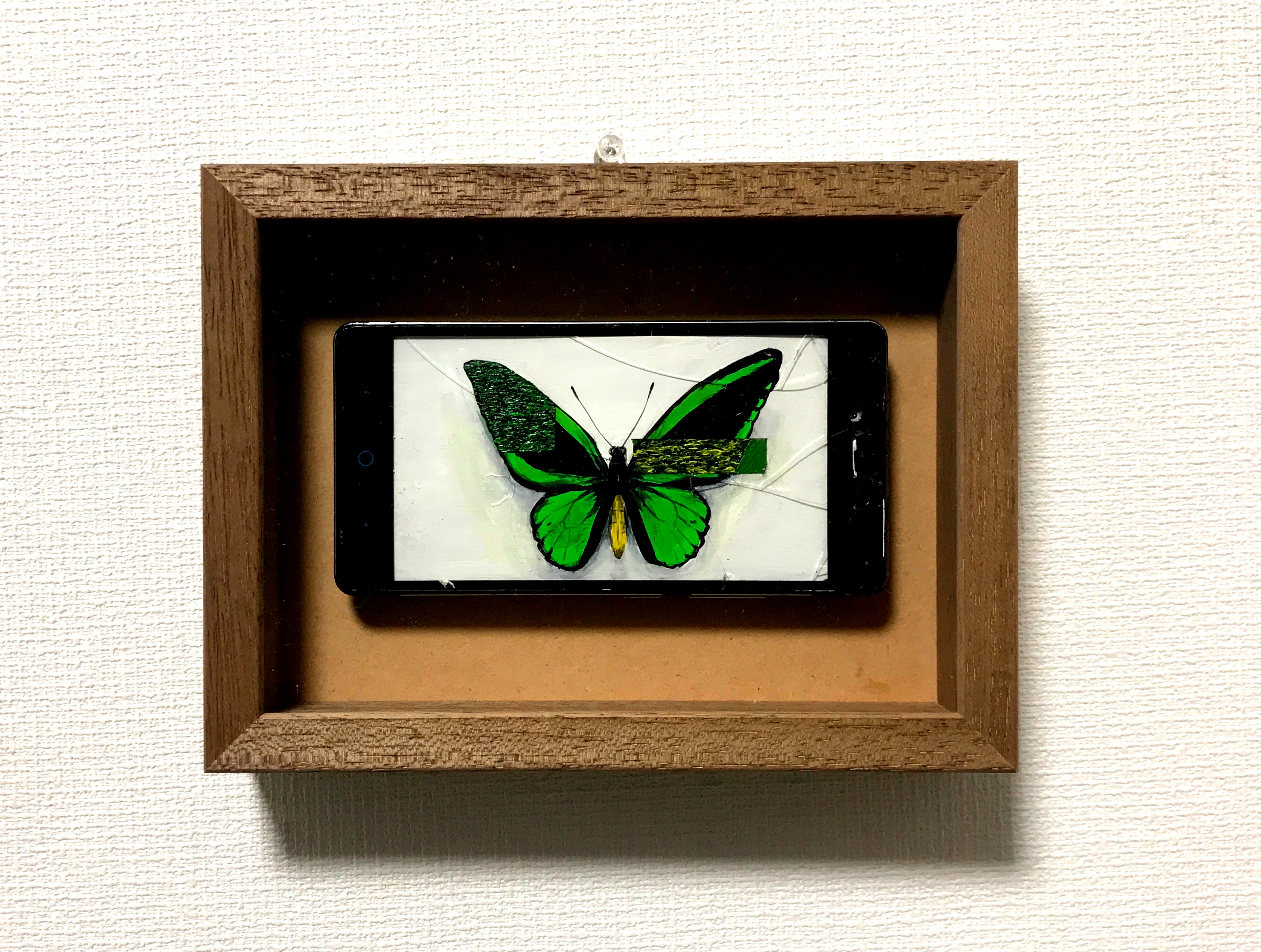 昆虫標本 #マルタンヤンマ by 小堺勝 - 絵画販売・購入・レンタル