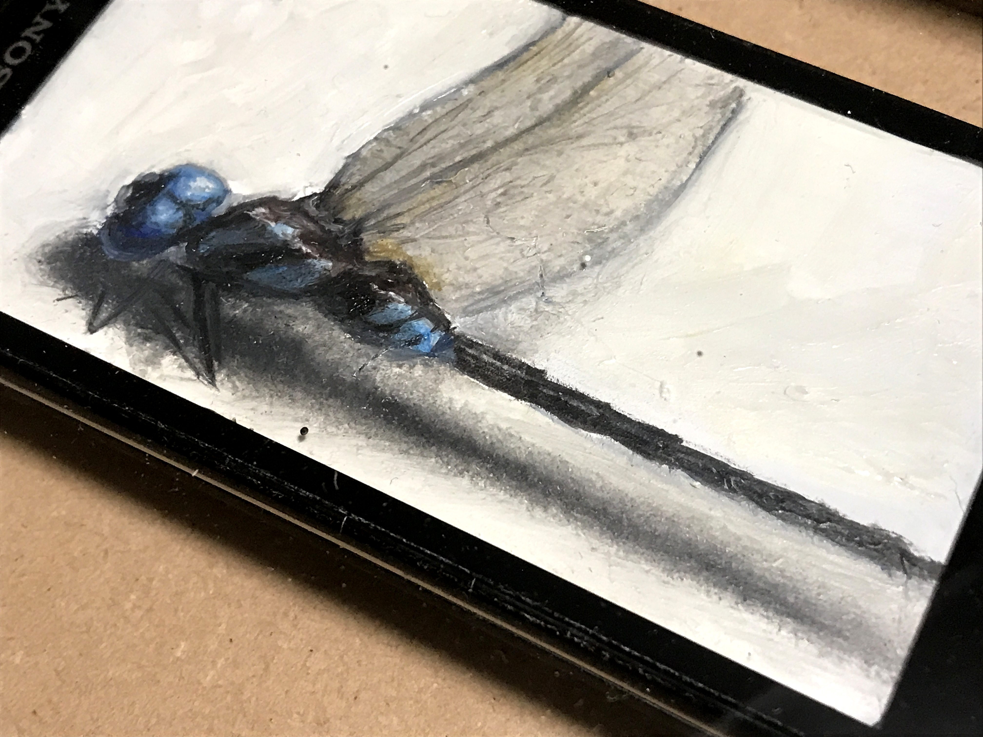 昆虫標本 #マルタンヤンマ by 小堺勝 - 絵画販売・購入・レンタル