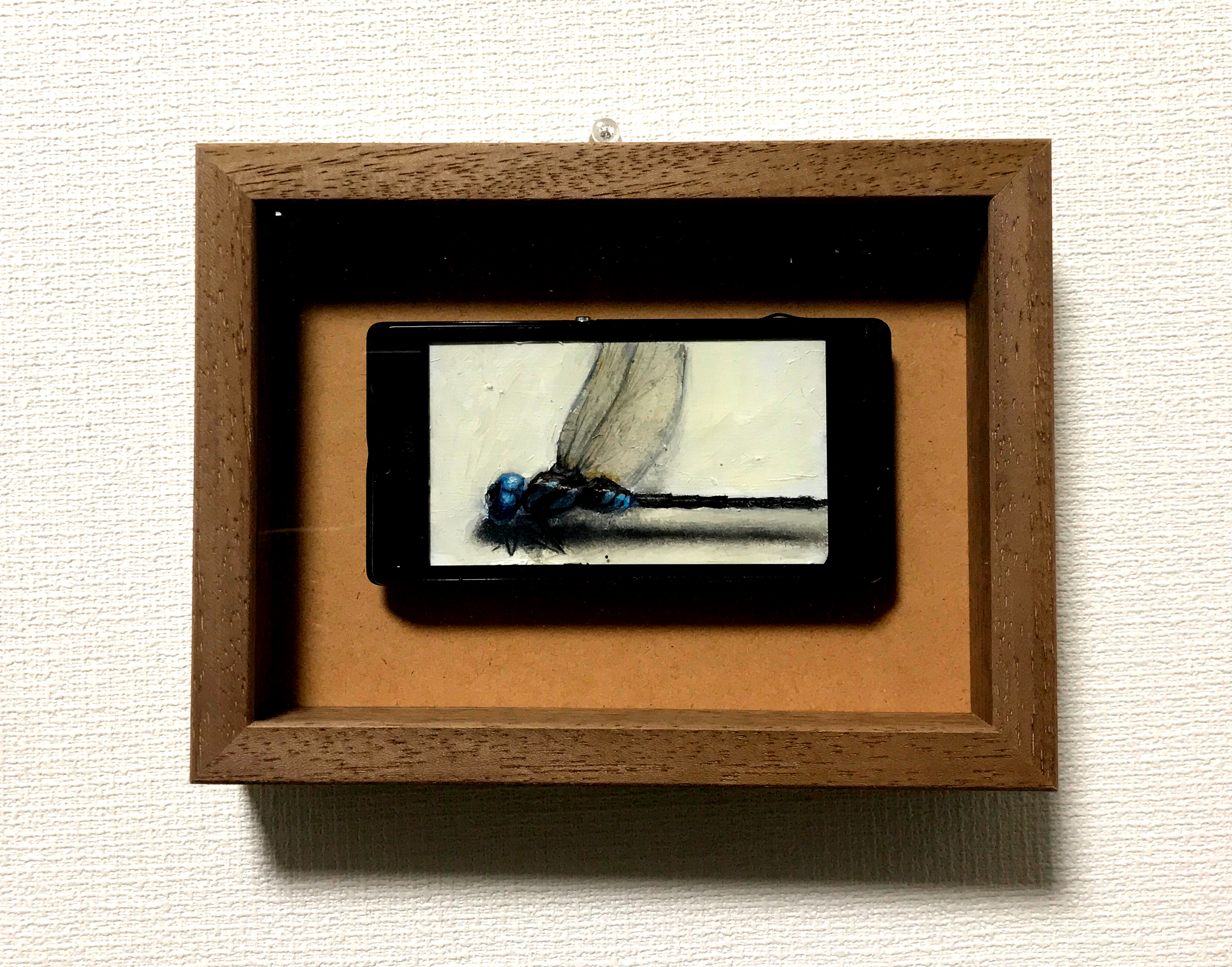昆虫標本 #マルタンヤンマ by 小堺勝 - 絵画販売・購入・レンタル