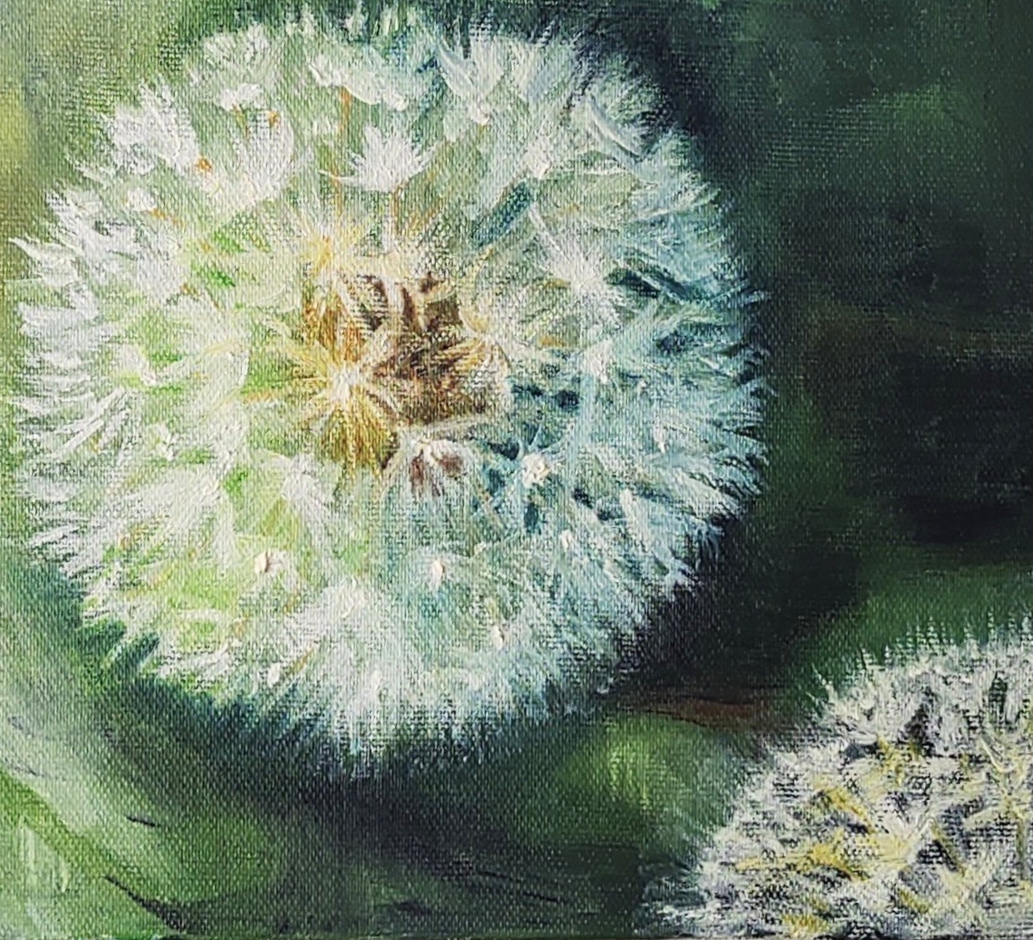 タンポポの綿毛 by 冨山めいみ - 絵画販売・購入・レンタル（サブスク