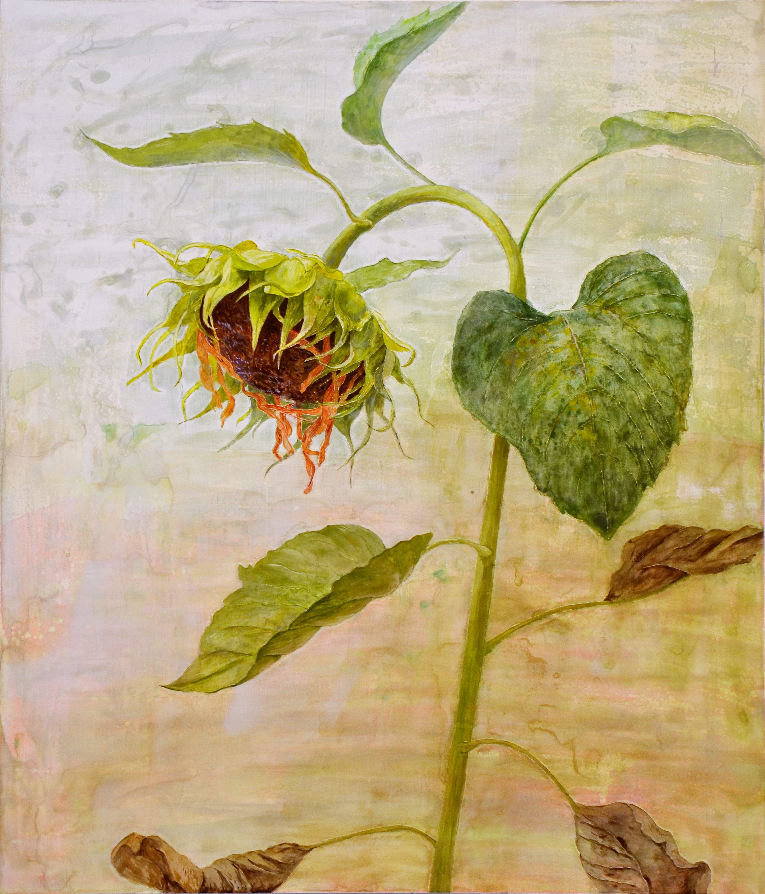 田口恵子 - 絵画販売・購入・レンタル（サブスク） - ARTELIER(アートリエ)