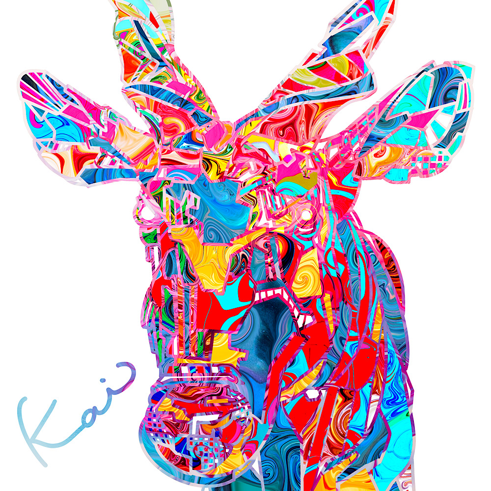 一点物】デジタルアート Kai Nobuyuki 動物 マーブル模様