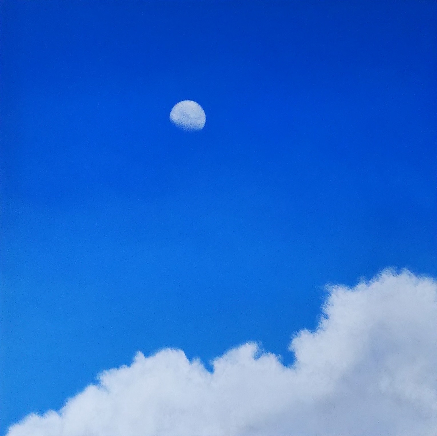 空の作品一覧 - 絵画販売・購入・レンタル（サブスク） - ARTELIER