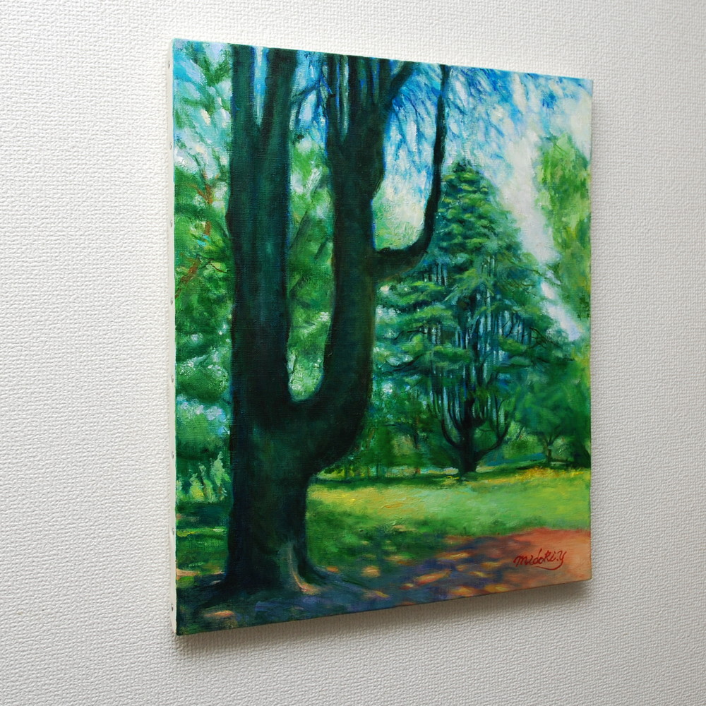 ヒマラヤスギ（彩の森入間公園） by 山口ミドリ - 絵画販売・購入