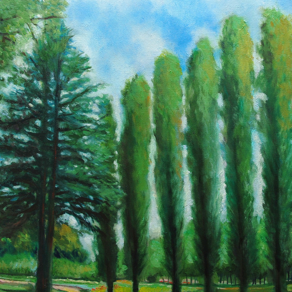 ポプラ並木（彩の森入間公園） by 山口ミドリ - 絵画販売・購入