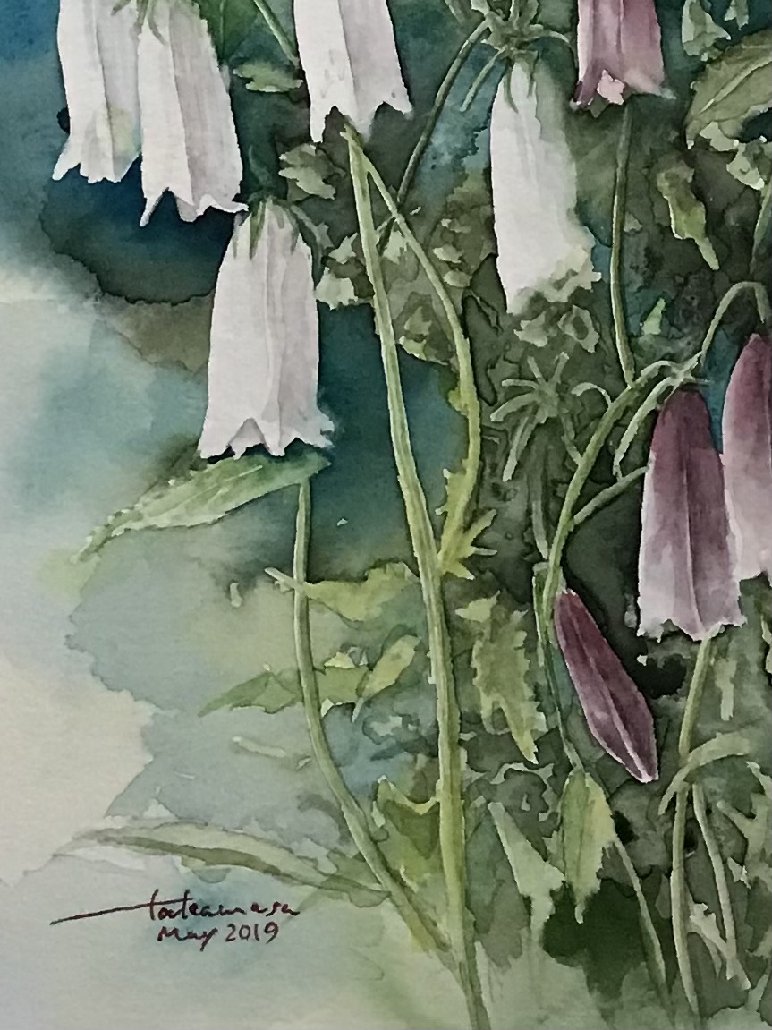 蛍袋2019 by taka - 絵画販売・購入・レンタル（サブスク） - ARTELIER