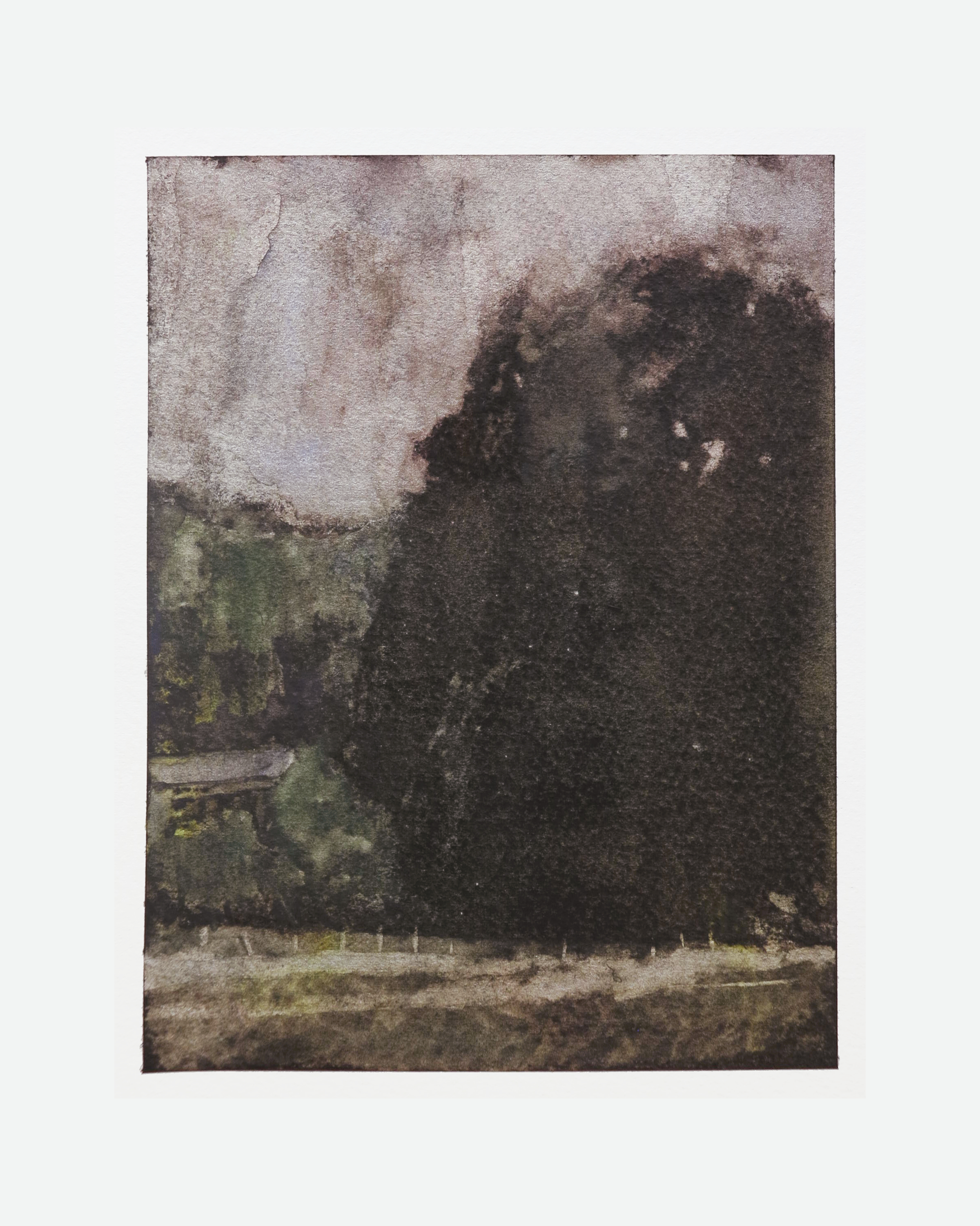 山間の凪 by 奈良田 晃治 - 絵画販売・購入・レンタル（サブスク