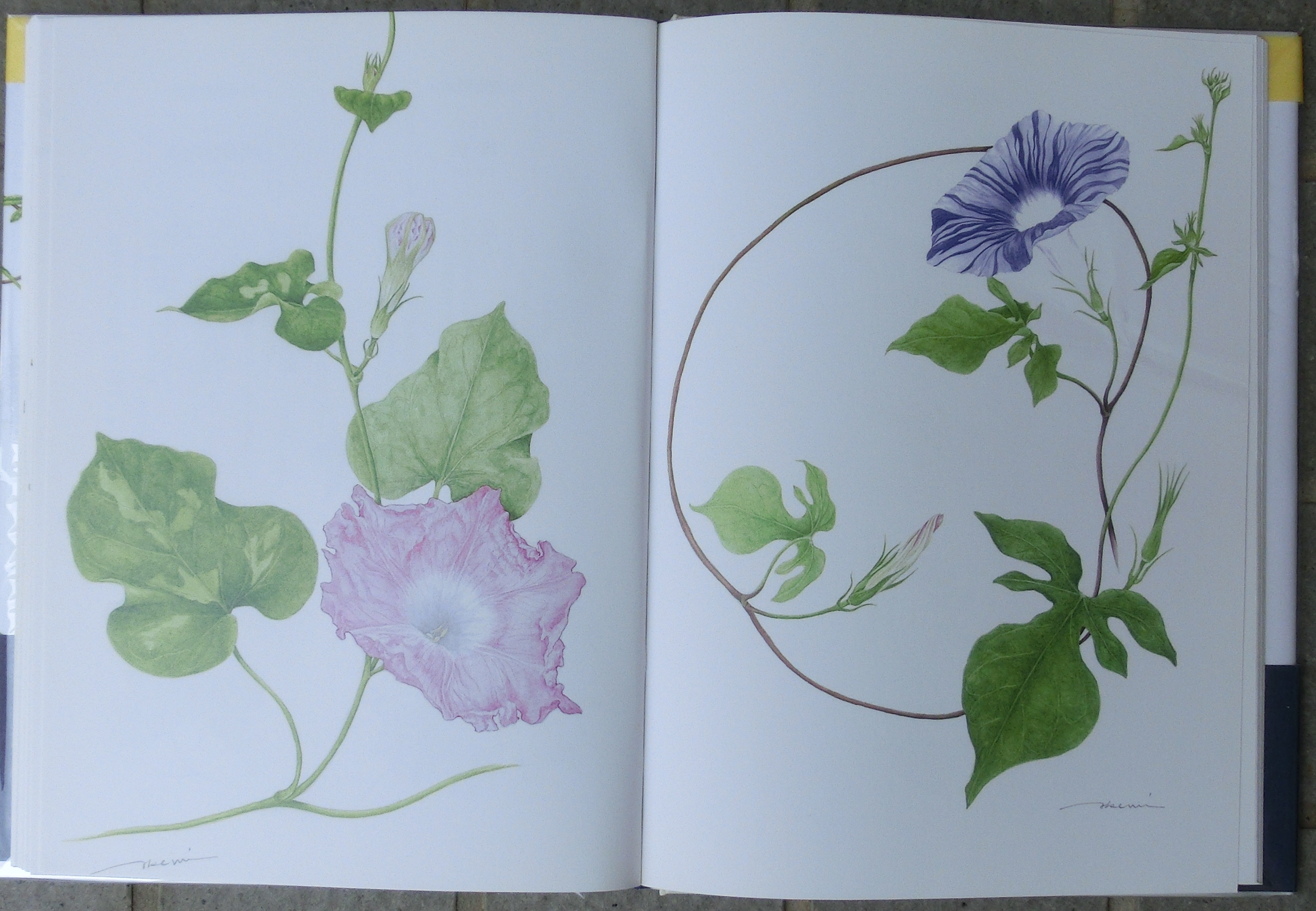 ARTELIER（アートリエ）