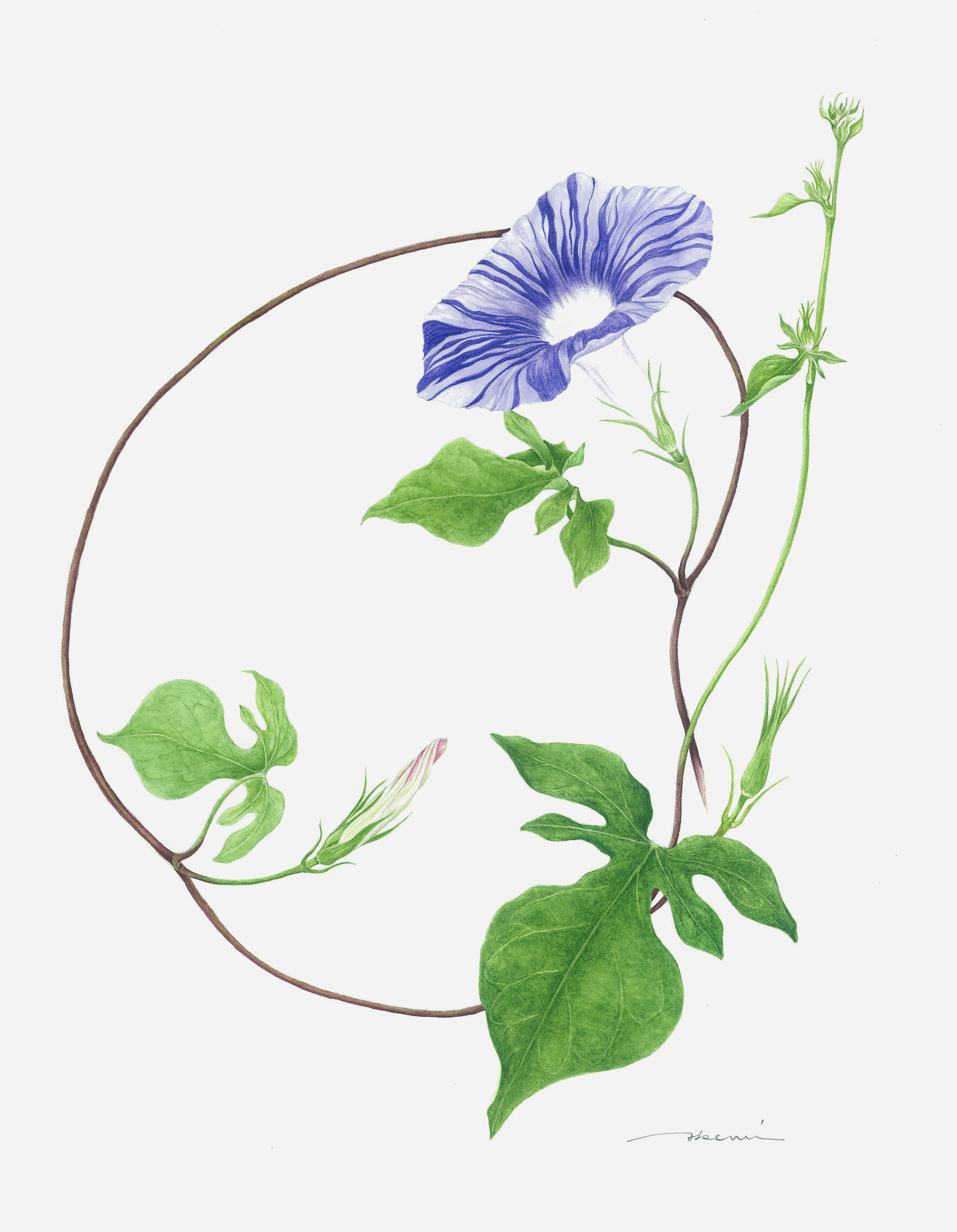 ARTELIER（アートリエ）