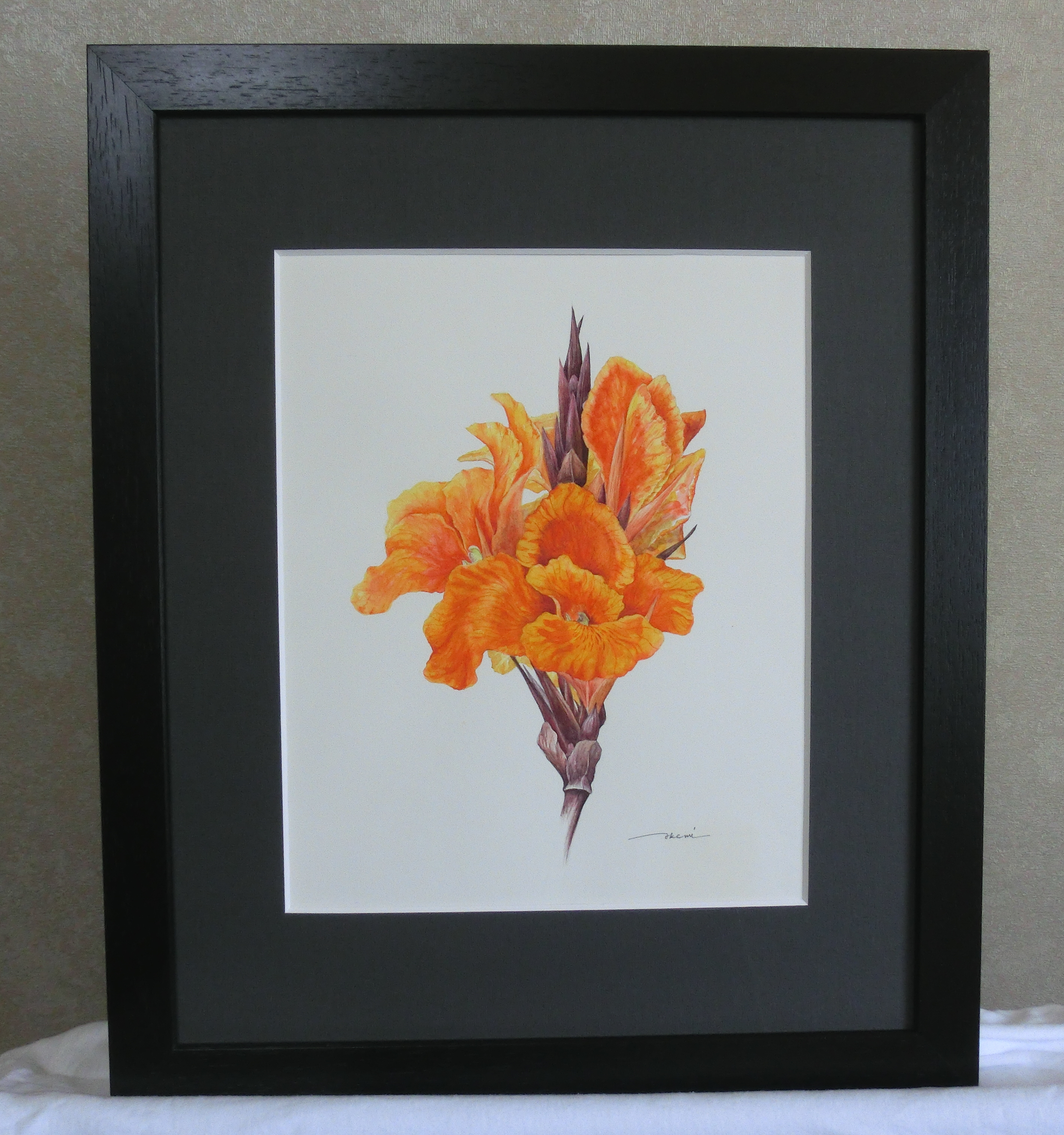 絵 ボタニカルアート 植物画 #ボタニカルアート #細密画 #水彩画 #透明水彩 #葉牡丹