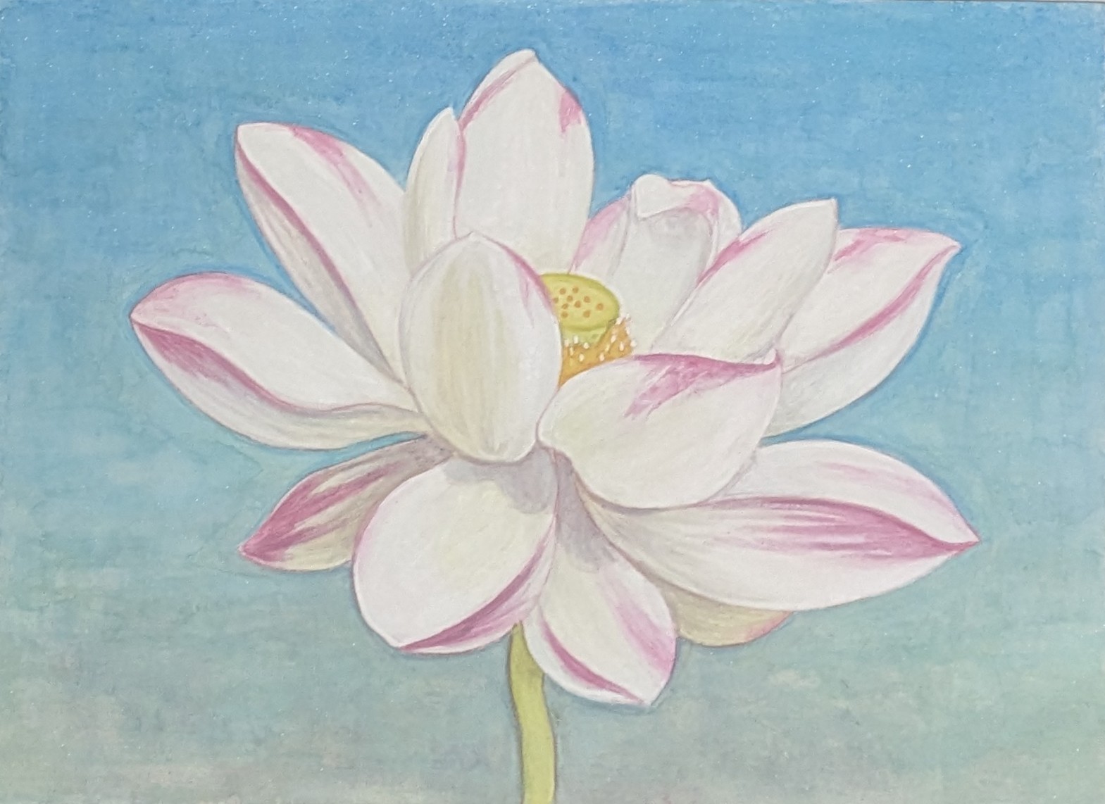 月下美人 by MATOBA MASATAKA - 絵画販売・購入・レンタル（サブスク