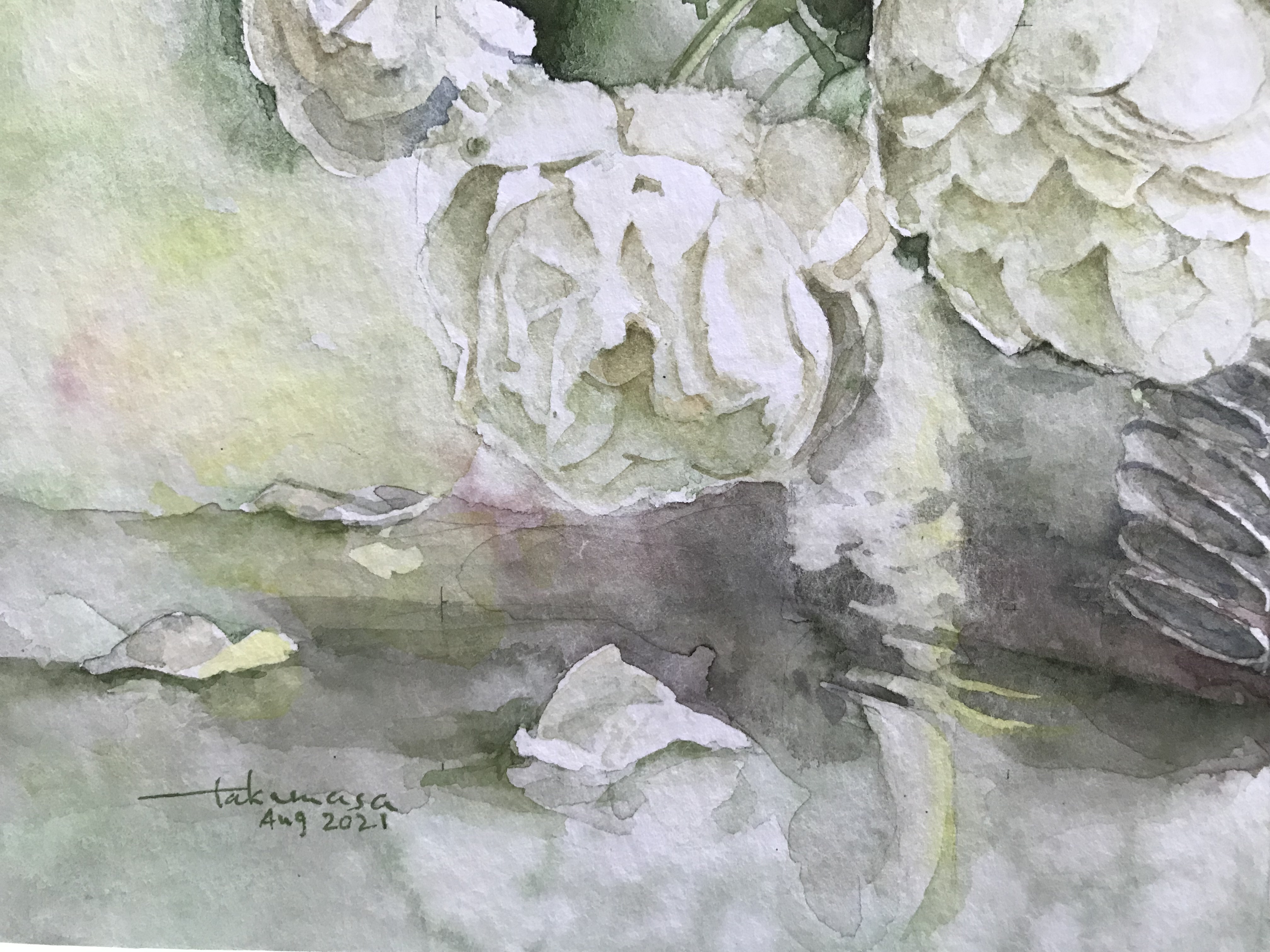 絵画　白薔薇 白い薔薇 by taka - 絵画販売・購入・レンタル（サブスク） - ARTELIER
