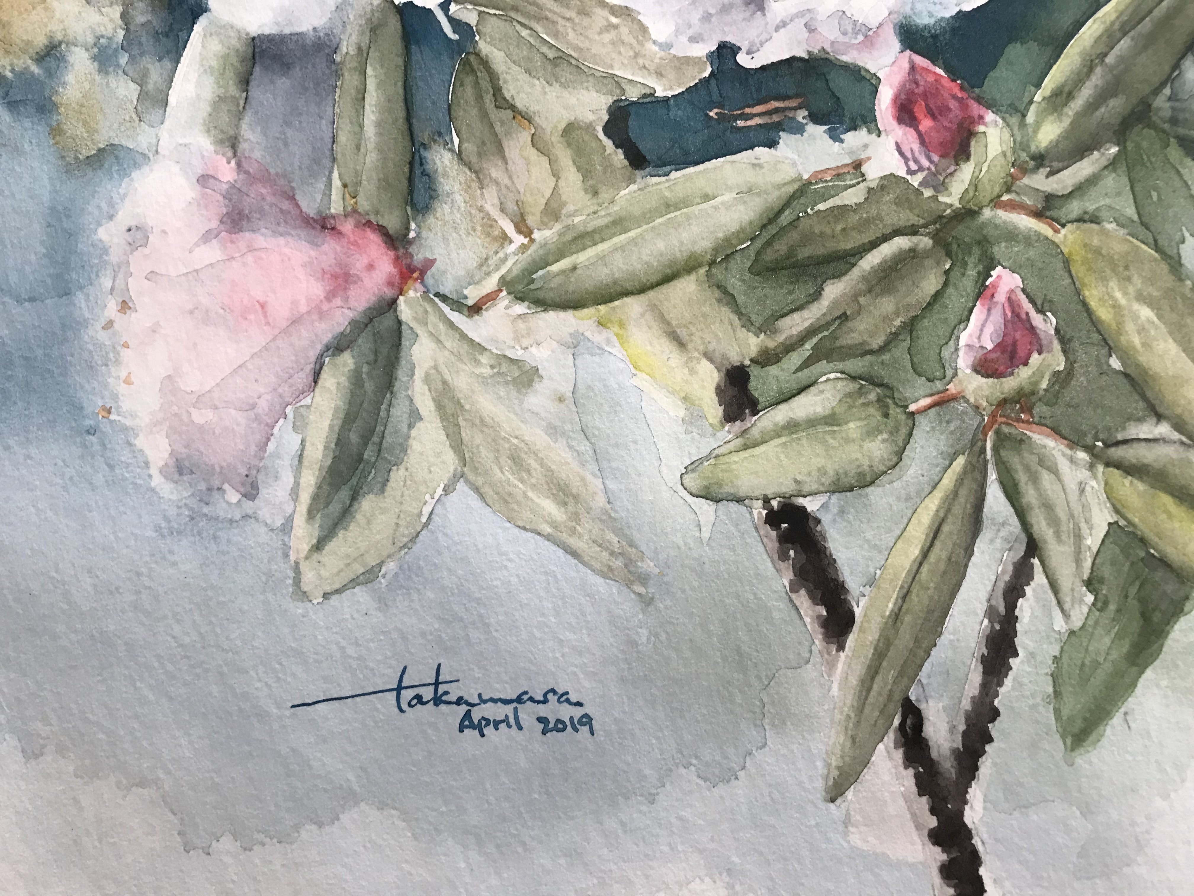 石楠花（横) by taka - 絵画販売・購入・レンタル（サブスク