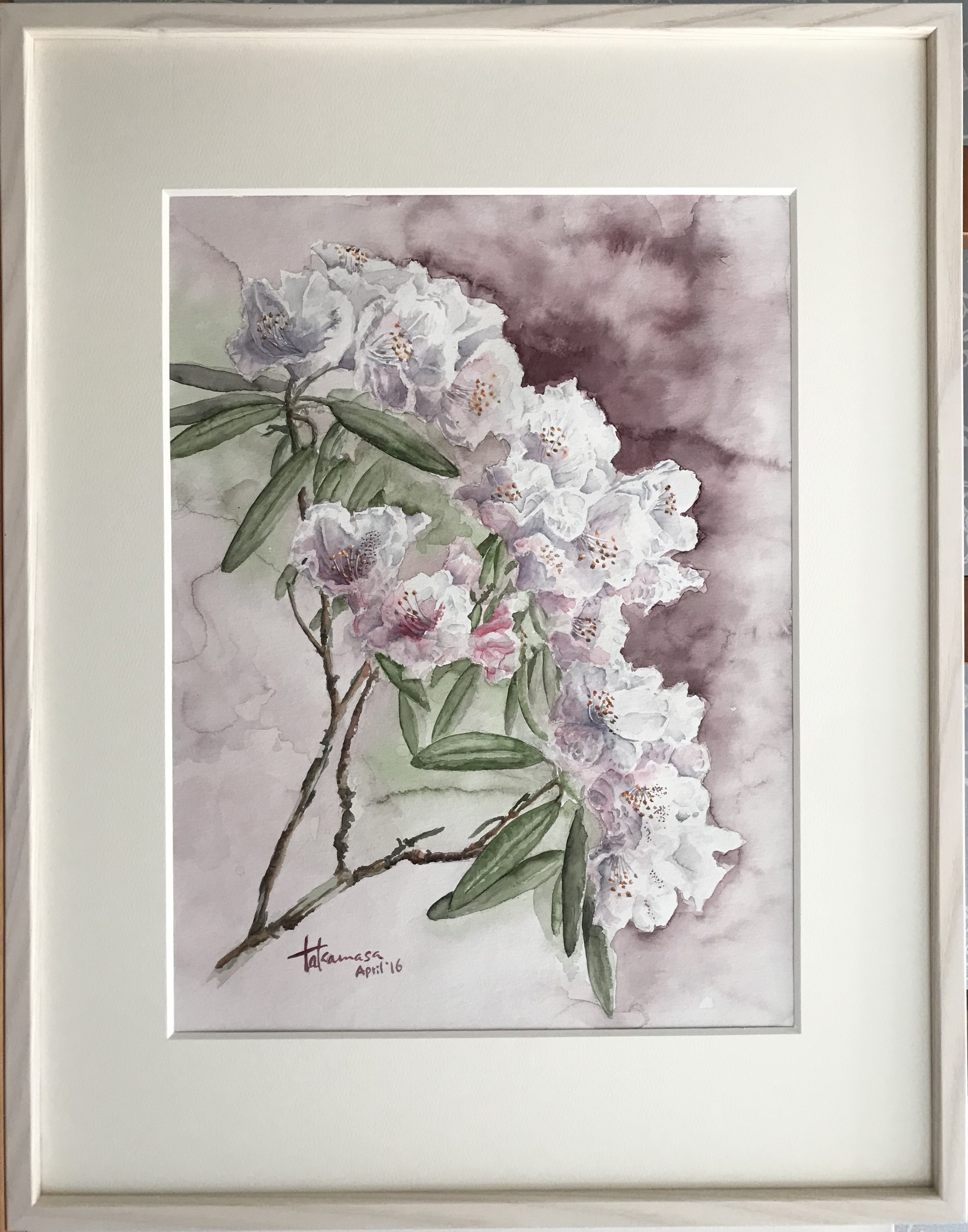 さざんか by taka - 絵画販売・購入・レンタル（サブスク） - ARTELIER