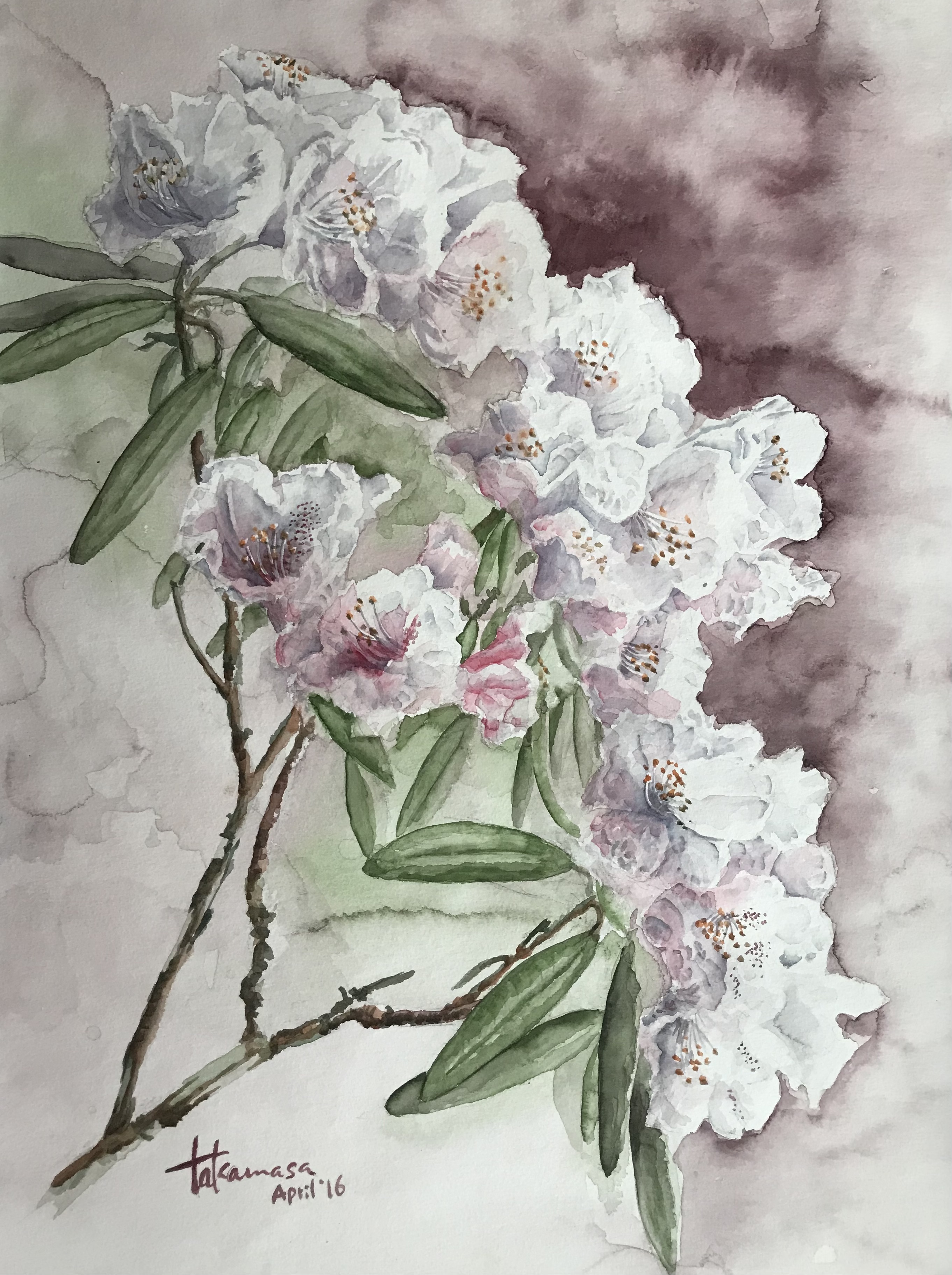 石楠花 石楠花 by taka - 絵画販売・購入・レンタル（サブスク） - ARTELIER