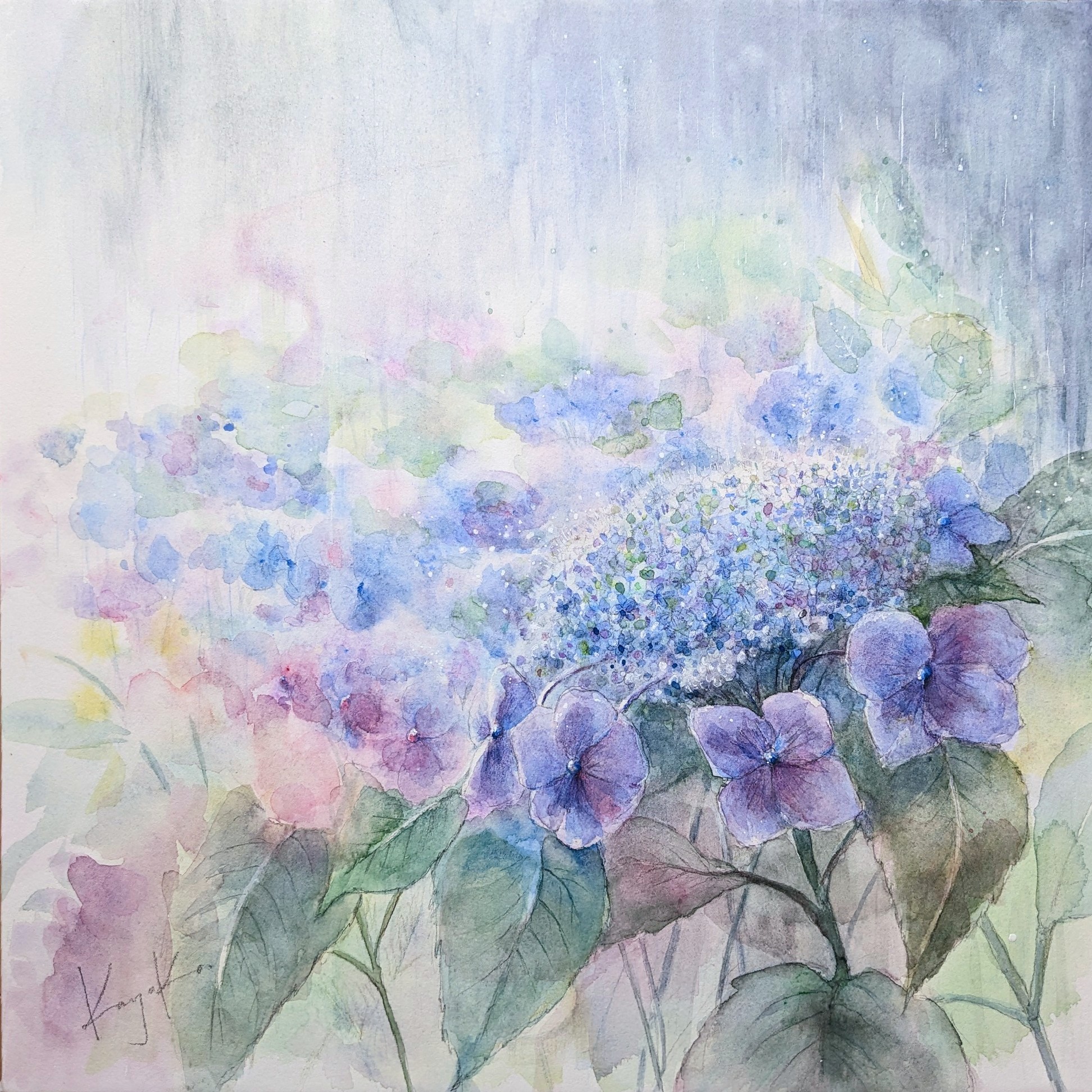 額の花・紫陽花青 by Kayoko Kurosaki - 絵画販売・購入