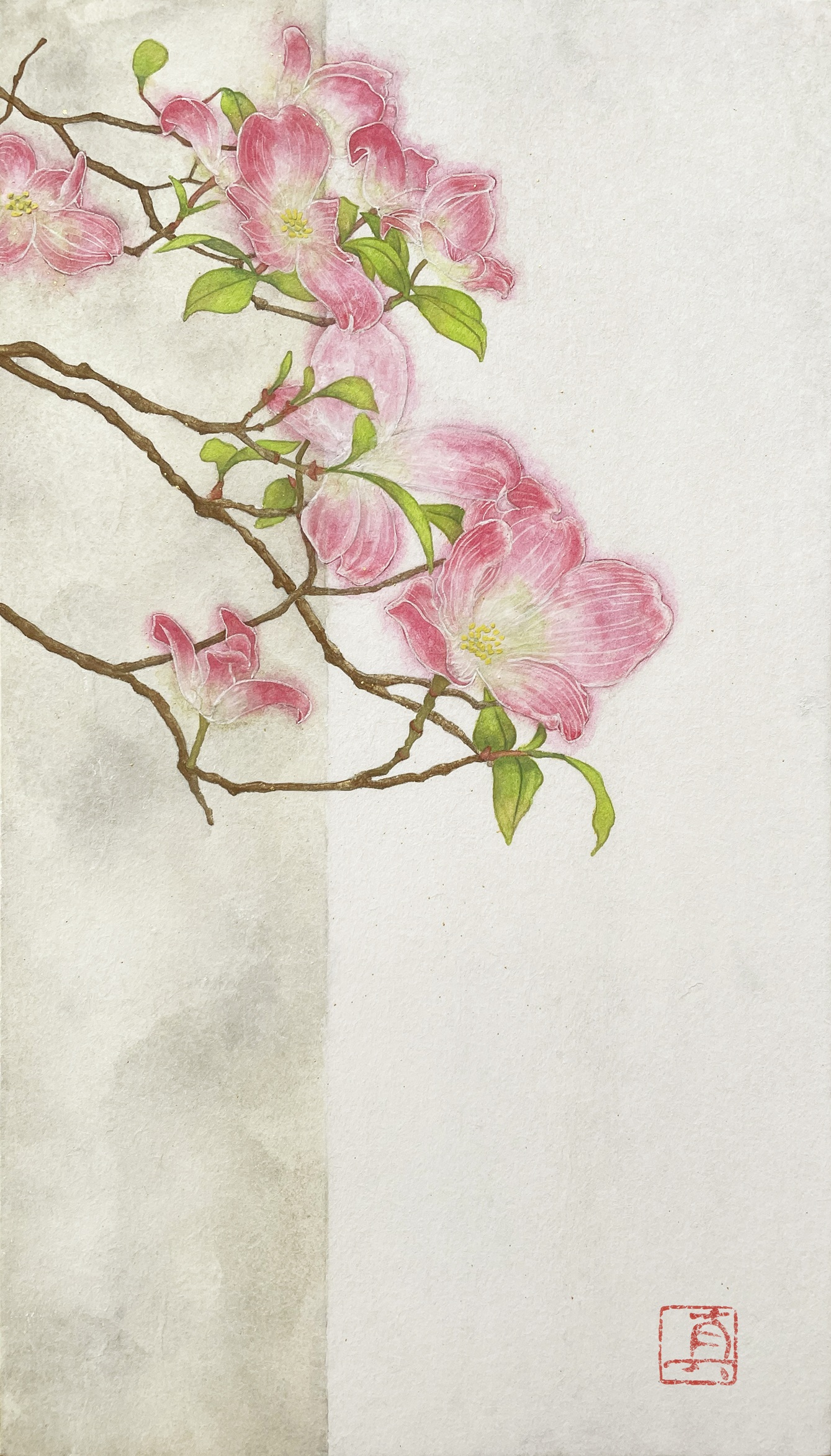 【絵画】ボタニカルアート「アメリカハナミズキ」原画 ハナミズキ by 陸野真望 - 絵画販売・購入・レンタル（サブスク
