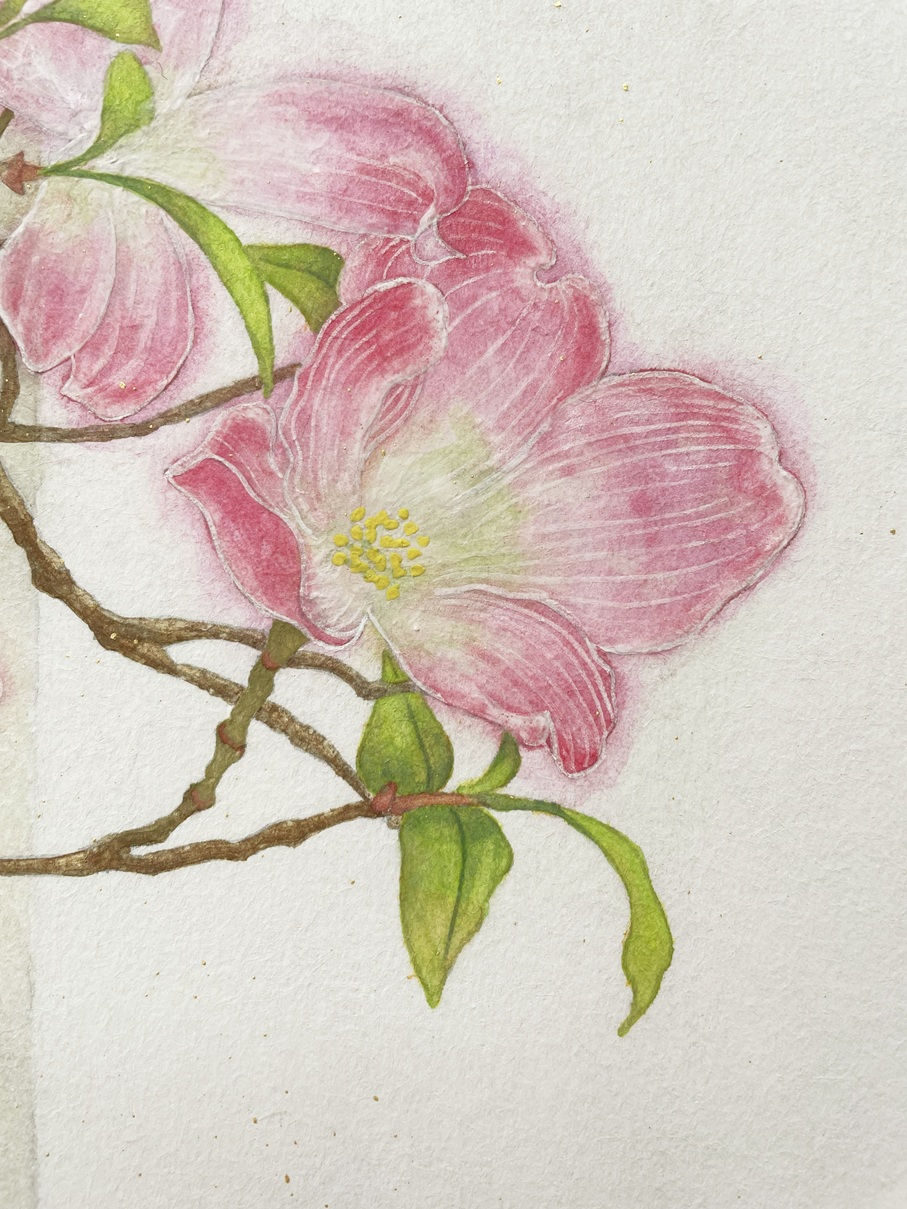 ハナミズキ by 陸野真望 - 絵画販売・購入・レンタル（サブスク