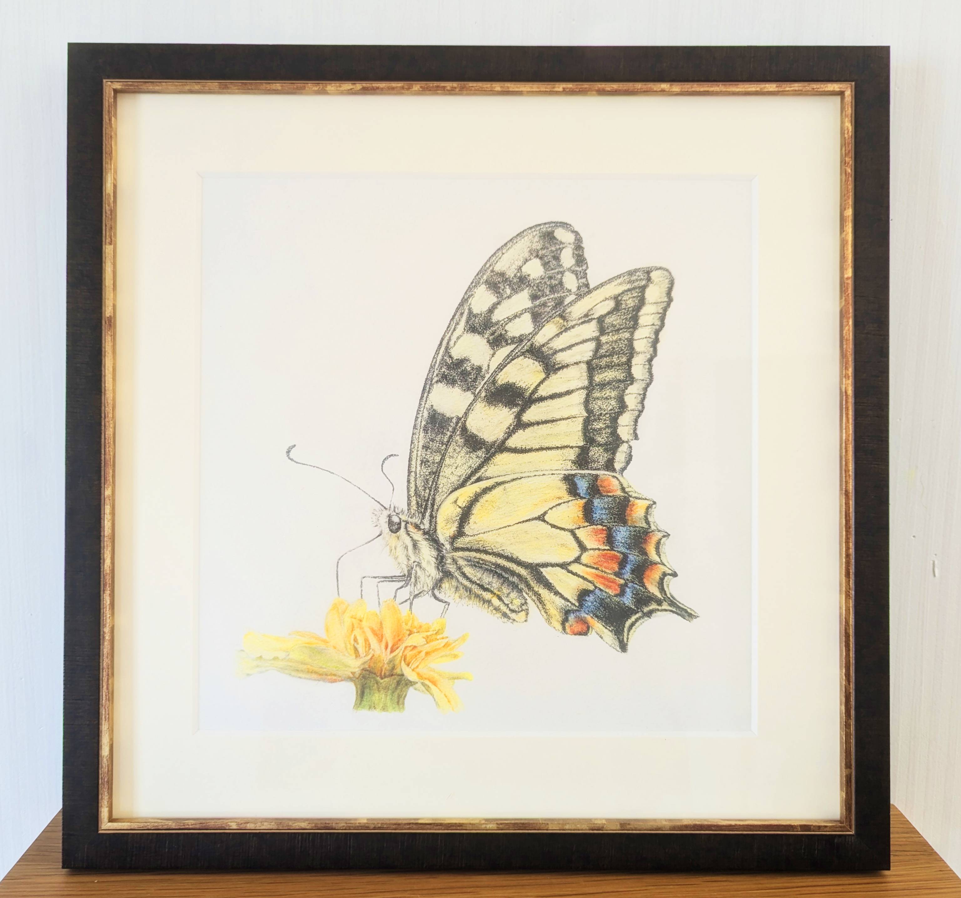 キアゲハ(原画)額付き by KATO SHOKO - 絵画販売・購入・レンタル